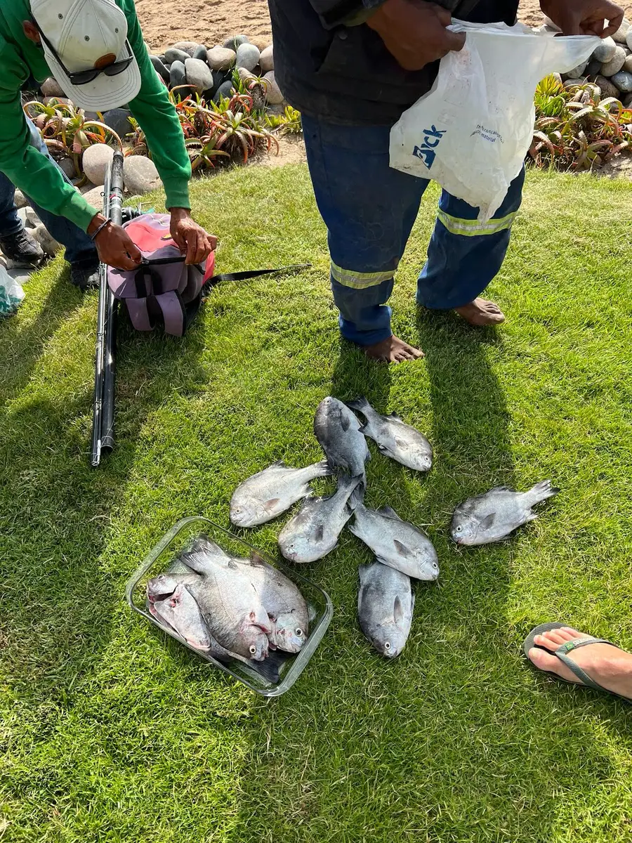 Our UK guests explored Namibia by private flights, visiting Windhoek, Sossusvlei, and Swakopmund. Highlights included desert rain, quad biking, aerial views of seal colonies, and Swakopmund’s salt pans, flamingos, and vibrant pier